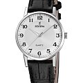 Часы Festina F20691/1